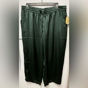 Terra & Sky Deep Green Satin Trousers